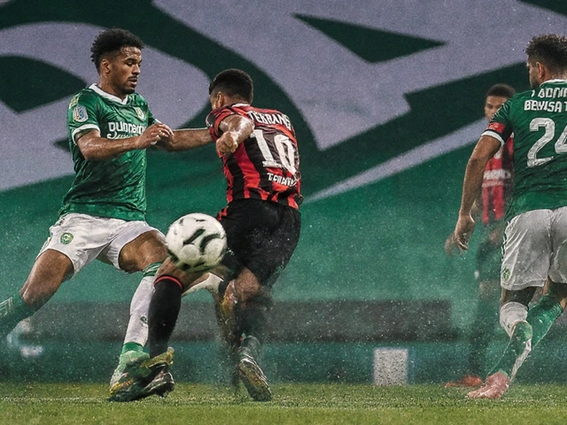 Palmeiras chega às semifinais da Libertadores e mira a terceira taça em seis anos